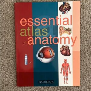 Barron's Essential Atlas of Anatomy